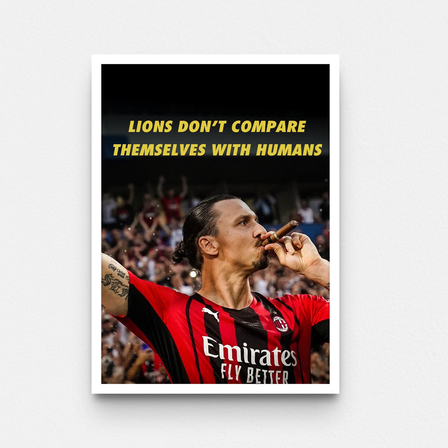 פוסטר זלאטן- lions don't compare with humans