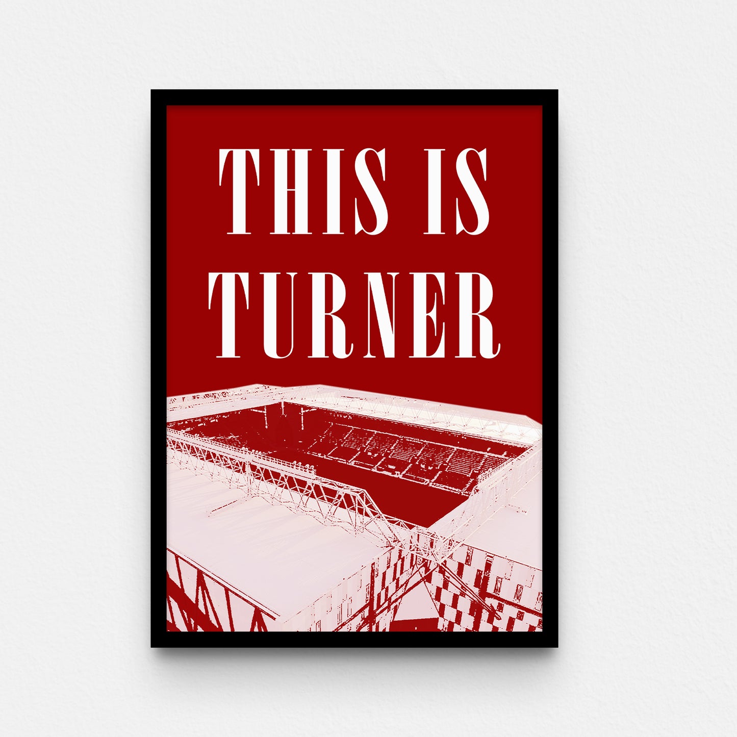 פוסטר- this is turner